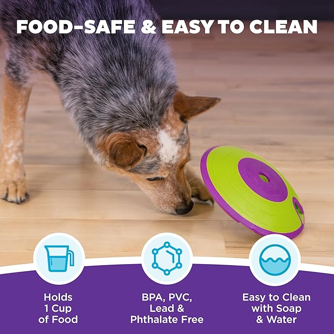 Dog Puzzle Toy with Treat Maze Outward Hound Nina Ottosson (Level 2, Purple & Green)