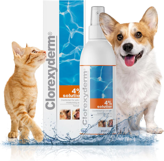 ICF Antibacterial Spray for Cats & Dogs – Vet-Approved Relief for Scratches, Itchy Skin & Hot Spots (200ml)
