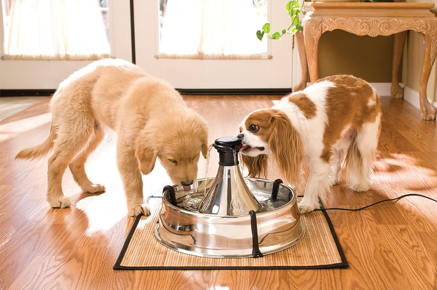 Adjustable 360 Stainless Steel Pet Fountain – 3.8L Customisable Drinking Station for Cats & Dogs by PetSafe