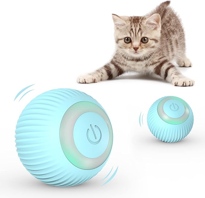 The Self-Rolling Ball of Dreams (for Cats Who Need a Hobby)