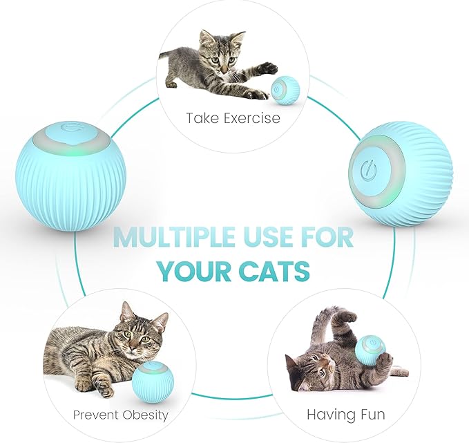 The Self-Rolling Ball of Dreams (for Cats Who Need a Hobby)