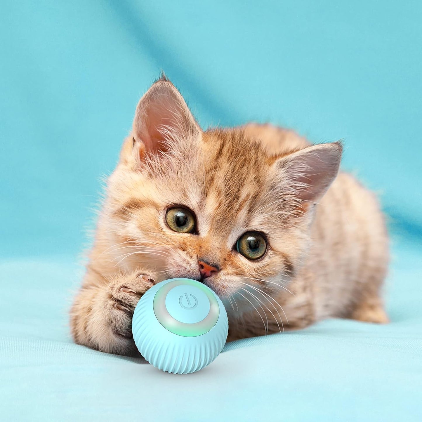 The Self-Rolling Ball of Dreams (for Cats Who Need a Hobby)
